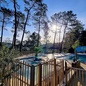 village-de-chalets-camping-bois-simonet.hotels-rhonealpes.com/